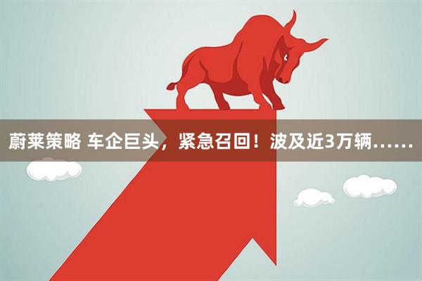 蔚莱策略 车企巨头，紧急召回！波及近3万辆……
