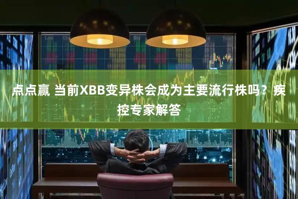 点点赢 当前XBB变异株会成为主要流行株吗？疾控专家解答