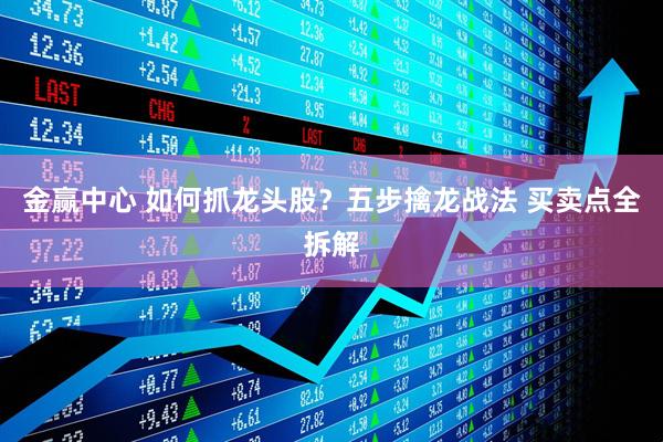 金赢中心 如何抓龙头股？五步擒龙战法 买卖点全拆解