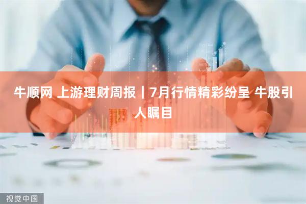牛顺网 上游理财周报｜7月行情精彩纷呈 牛股引人瞩目