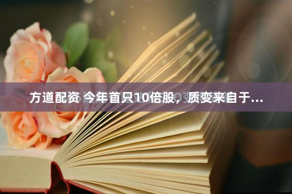 方道配资 今年首只10倍股，质变来自于...