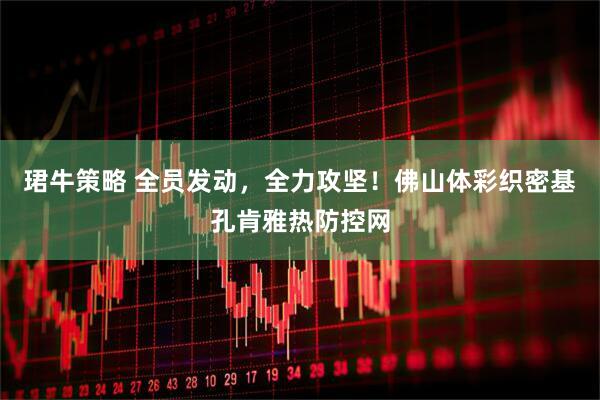 珺牛策略 全员发动，全力攻坚！佛山体彩织密基孔肯雅热防控网