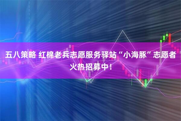 五八策略 红棉老兵志愿服务驿站“小海豚”志愿者火热招募中！