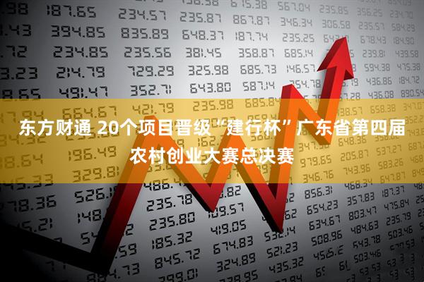 东方财通 20个项目晋级“建行杯”广东省第四届农村创业大赛总决赛