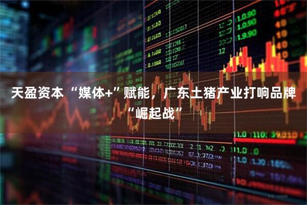 天盈资本 “媒体+”赋能，广东土猪产业打响品牌“崛起战”